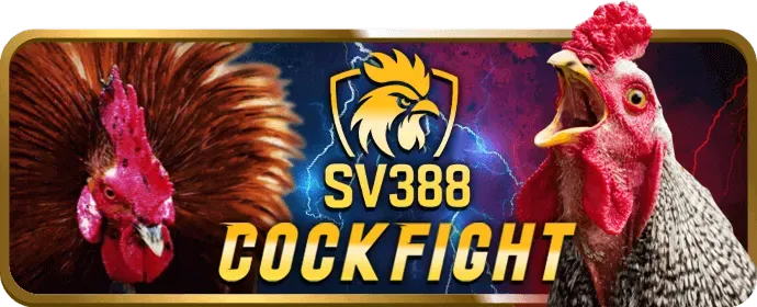 Ưu đãi cược miễn phí và các sự kiện đặc biệt tại vin7772 login Sports